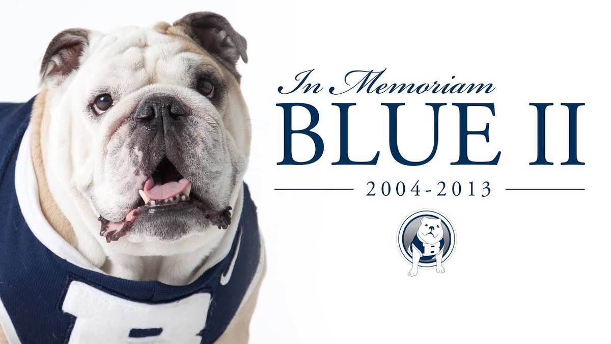 MSKaltenmark's tweet photo. It’s been just 8 years since we said our last goodbyes, but it feels like a lifetime ago.
And while I still cry when I watch this tribute, I smile a lot too. I miss him dearly.
Here’s to you, Blue II!
https://t.co/taQU1EwUbu https://t.co/tCnvBEZZJh