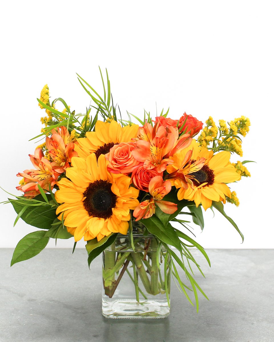 Eastern Floral tweet media