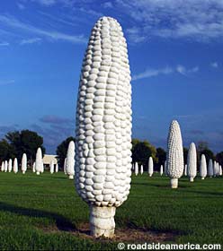 Mark Severt tweet media