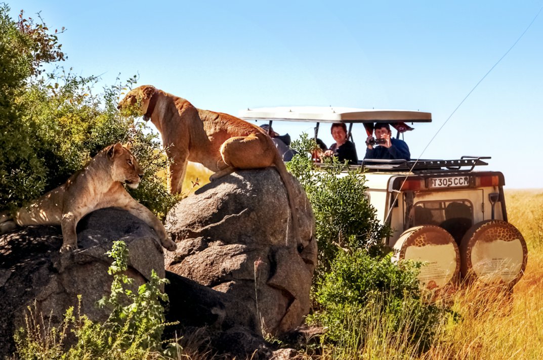 In this Ultimate Guide to the TOP 5 AFRICAN SAFARI TOURS discover which safari destinations make for an unforgettable African adventure. Start planning now!⁠
Follow this link to read more: bornwild.rocks/blog2/5-best-a…⁠
#BestAfricanSafariTours #BestAfricanSafari #SafariTours