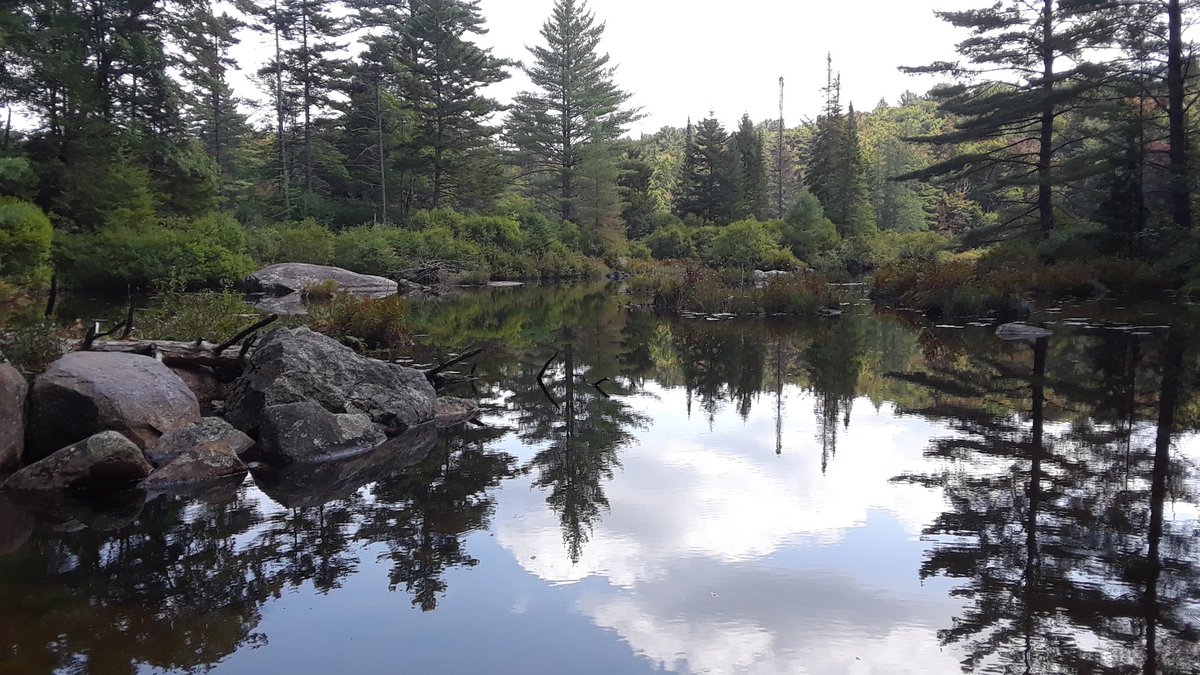 jturiano_author's tweet photo. Morning hike!
#camping #campinglife #campingfun #campingvibes #campingadventure #outdoorlife #outdoorfun #hiking #aframecamping #AdirondackCamping https://t.co/axmCeZTytN