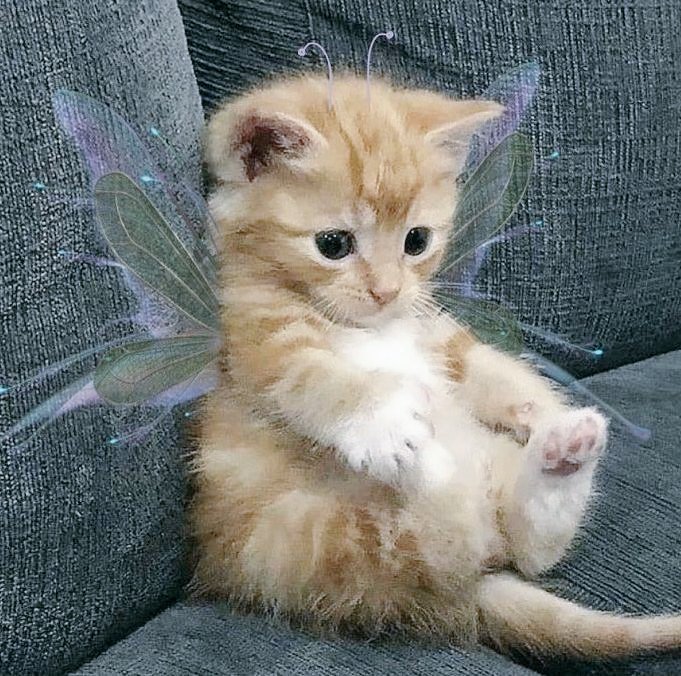 ㅤㅤㅤㅤㅤㅤㅤㅤㅤㅤㅤㅤㅤㅤㅤㅤㅤㅤㅤㅤㅤㅤㅤㅤㅤㅤㅤㅤㅤㅤㅤㅤㅤㅤㅤㅤㅤㅤ rt!! - followㅤ
ㅤㅤㅤㅤheart!! - dm ㅤㅤㅤㅤㅤㅤㅤㅤㅤㅤㅤㅤㅤㅤㅤㅤㅤㅤㅤㅤㅤㅤㅤㅤ