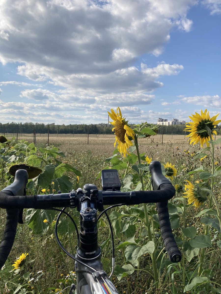 very strong suspicion that this is my last +20 oC #helsinki cycle commute for 2021
- don’t normally ride into field of sunflowers, but seemed appropriate way to make the day https://t.co/2LJifANnj5