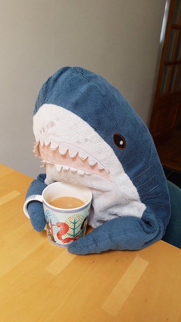 WillMacAoidh's tweet image. Jaw’s mam waiting for him to come home late after wrecking a few ships with the lads