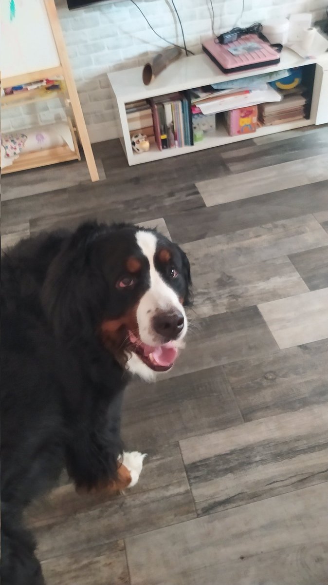 J.Espallargas# tweet media