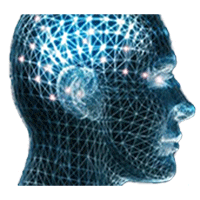 Psinergy's tweet image. Power Nap &amp;amp; Short Gamma programs
"These induction programs have a peculiarity. It can be applied in defined zones of the body. depending on the type of stress. For..."
psinergyhealth.com/wellness/servi…
#PowerNap #QuickRefresh #ReduceStress #ShortGamma #SynapsisBrainwaveTherapy