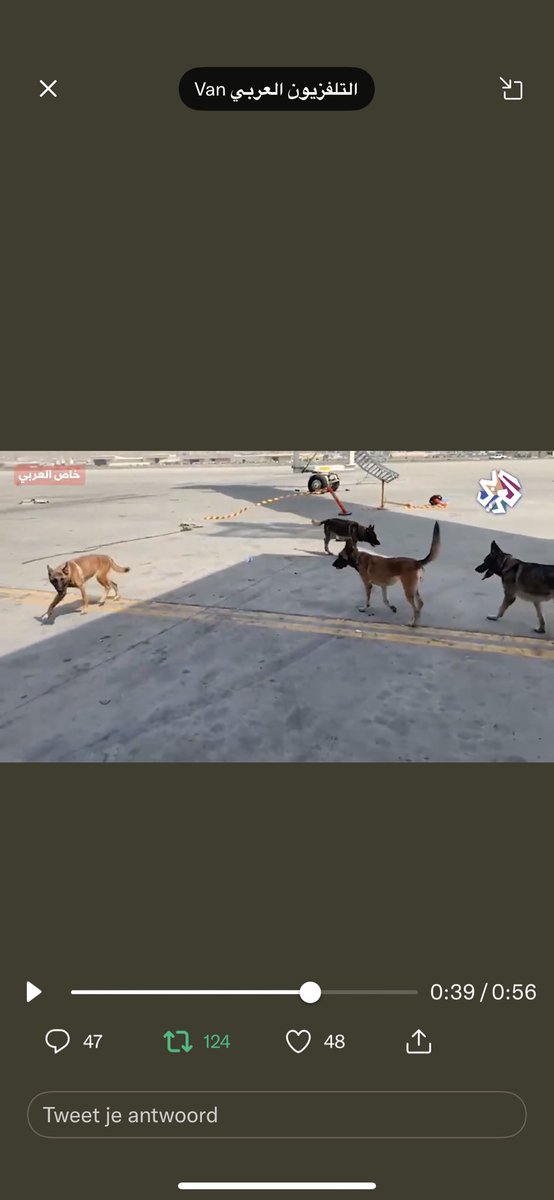 teamhrach's tweet photo. @peta @JoeBiden @POTUS Finally @peta We are tagging you for days! The @DeptofDefense forced Charlotte to release rescued dogs at the airport. So there are hundreds of dogs left at the airport. #operationhurcules @KSAnimalRescue #NoPawsLeftBehind https://t.co/5pokvXYVyq