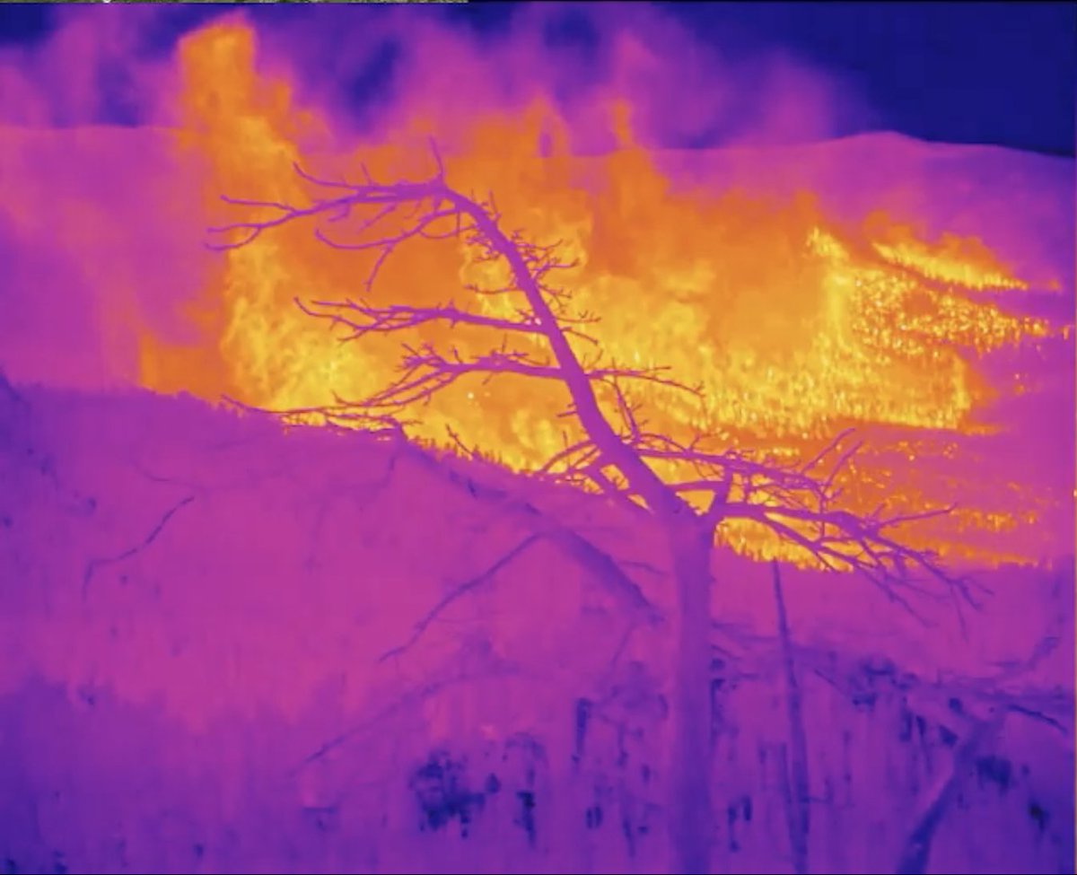 Nevada Fire Cameras tweet media