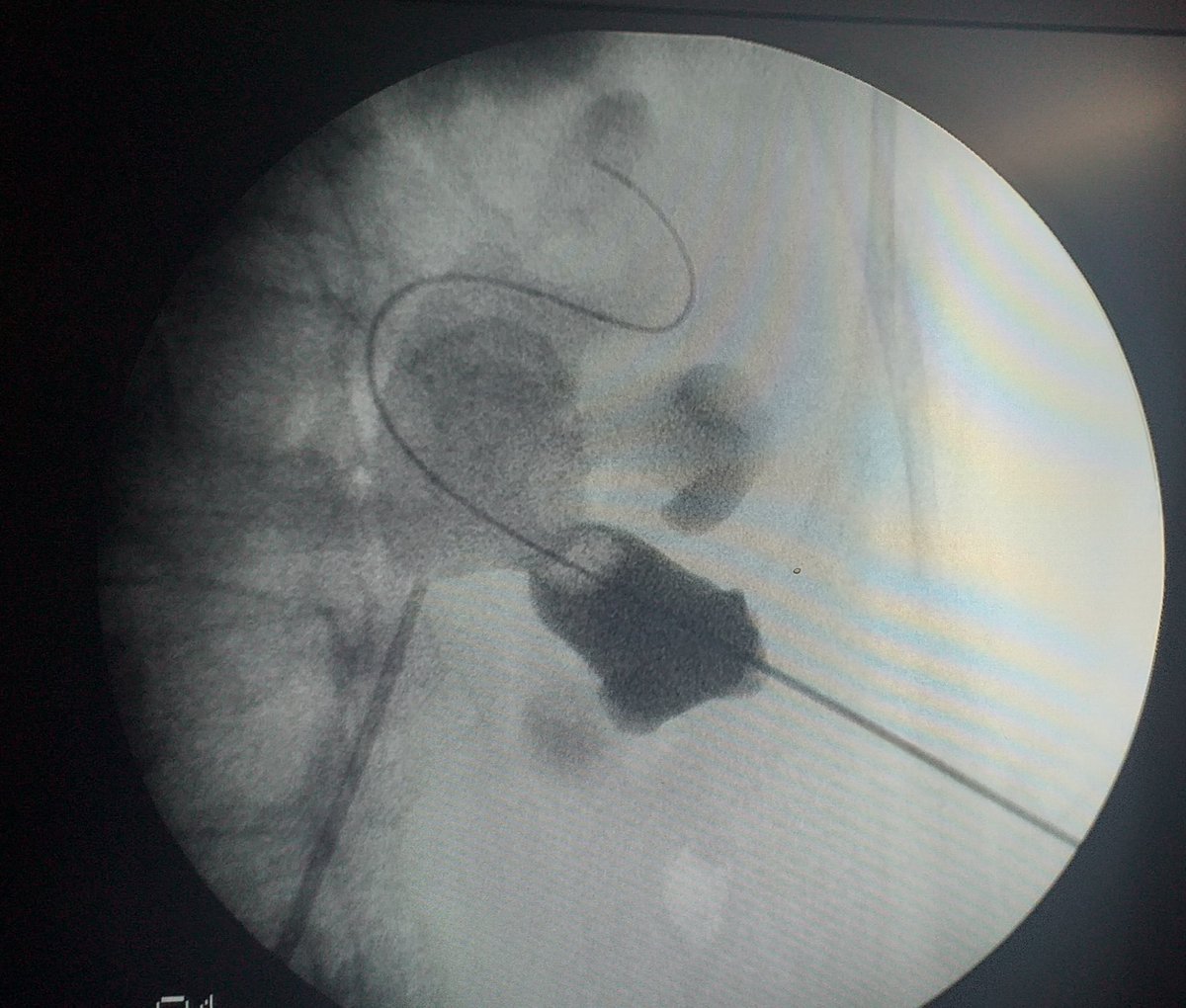 Emanuel Martinez Pagano, MD.🇦🇷 tweet media