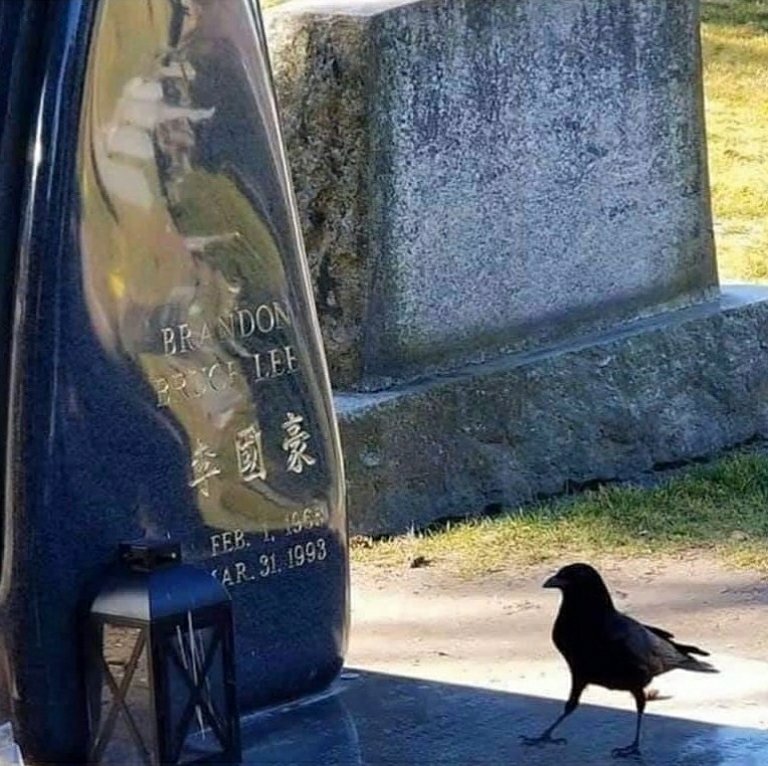 MaxxGhe's tweet image. Una immagine che presumo non abbia bisogno di nessun commento.