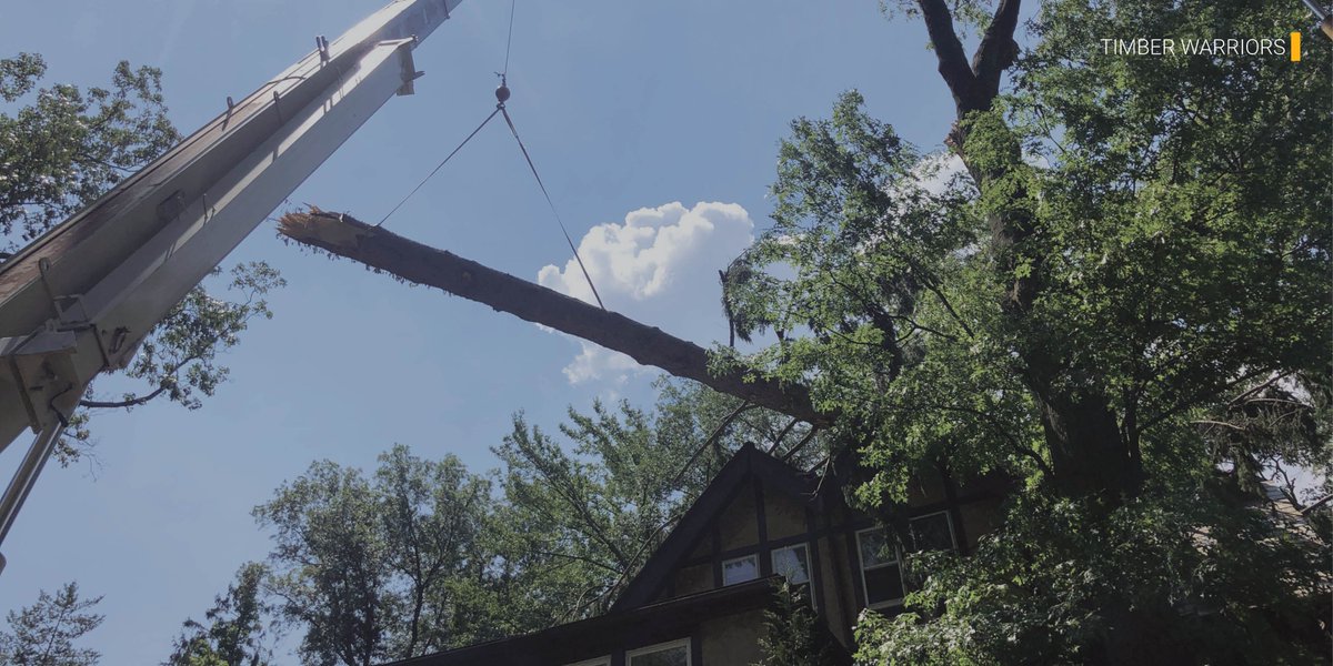 We're helping homeowners/communities in 11 states today - and #Louisiana and #Mississippi are no exception. We are accepting all tree claims related to #HurricaneIda. 
We have tree crews in the area, ready to assist!