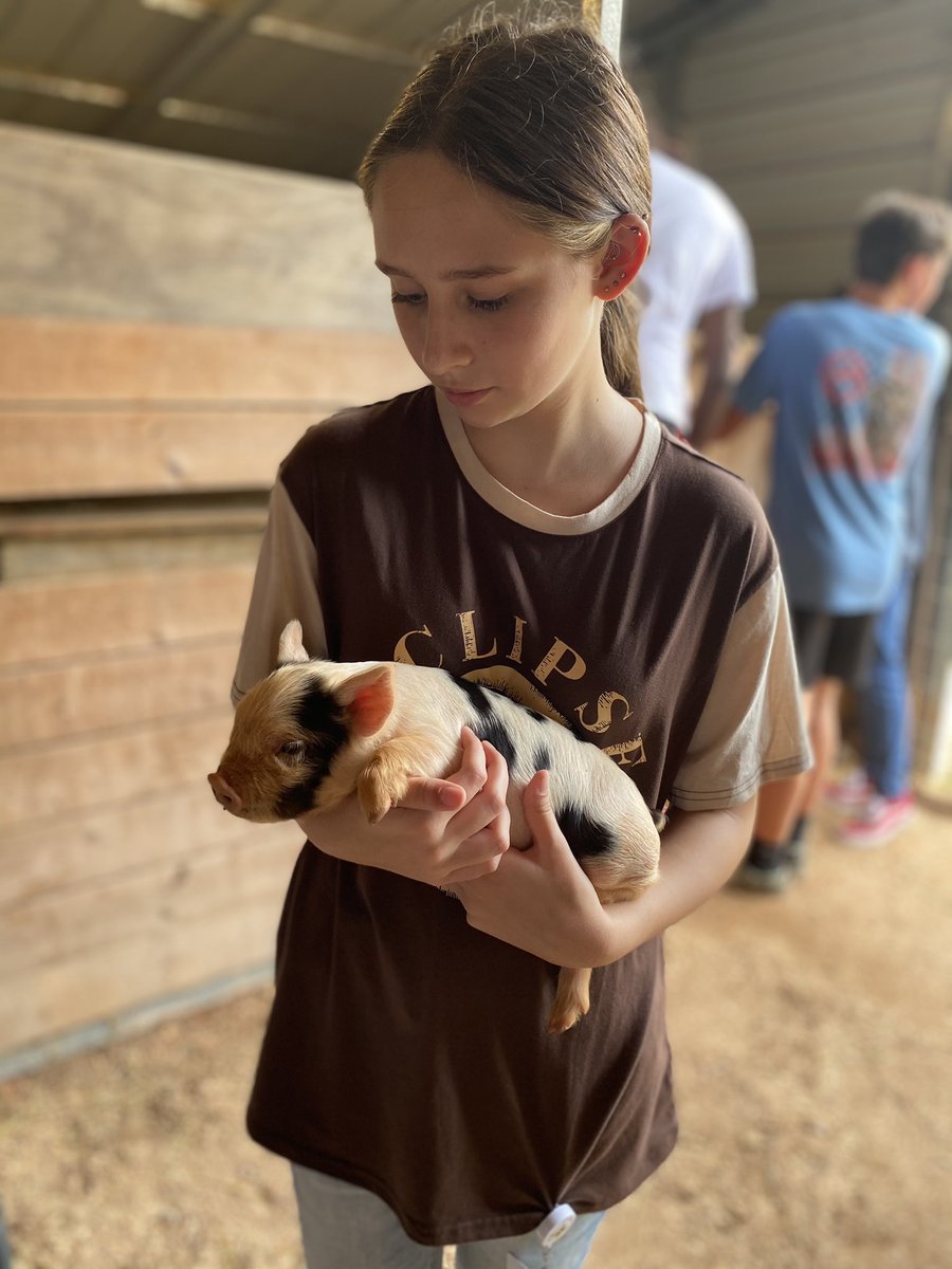 Laurens55Ag's tweet photo. One of the Intro to Ag Science classes got to go out to the barn today and get acquainted with some of the animals that they will be working with throughout the semester. #AgEd #barndays https://t.co/1yLhnsMTRx
