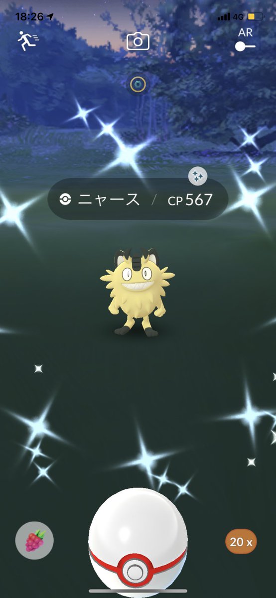 いぼころり ポケgo V Twitter ギリギリまでニャースでんくで諦めたらこれ やっぱり無欲が1番やなw なんとか集めれた ポニータは帽子かぶってる色違いがあるからよしとしてw ポケモンgo ポケモンと生活