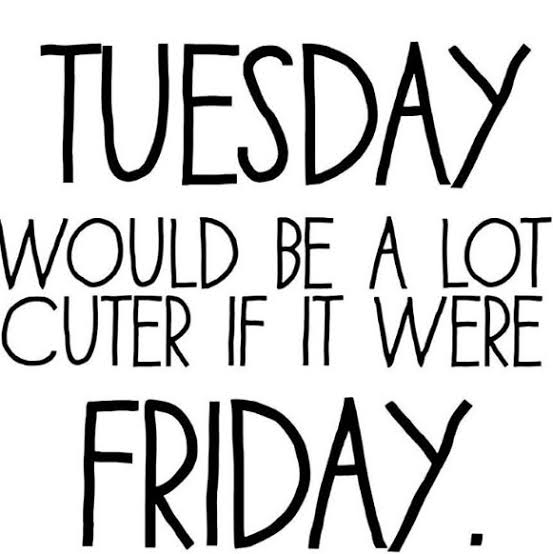 Tuesday mood... just like monday😅