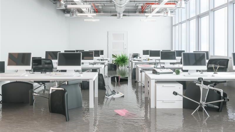 ChubbNA's tweet photo. According to Chubb claims data, your office is more likely to have water damage than damage from a fire. If your business owns or leases property or office space, it’s best to have a plan and be prepared – these practical tips will help get you started: https://t.co/iAXgdfYPL2 https://t.co/cAfuMejYAx