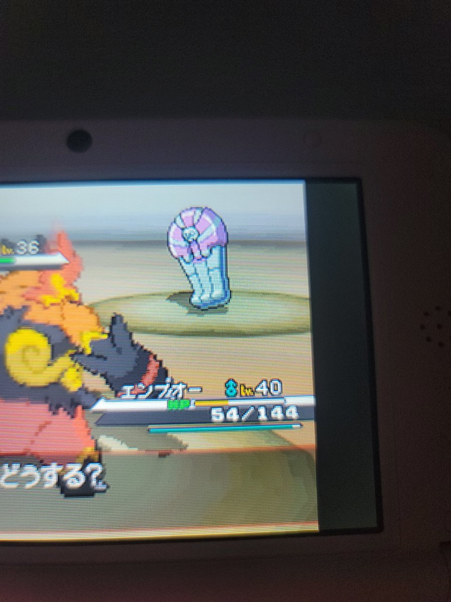 ポケモンbw Twitter ಹ ಡ ಕ ಟ ポケモンbw Twitter ಹ ಡ ಕ ಟ