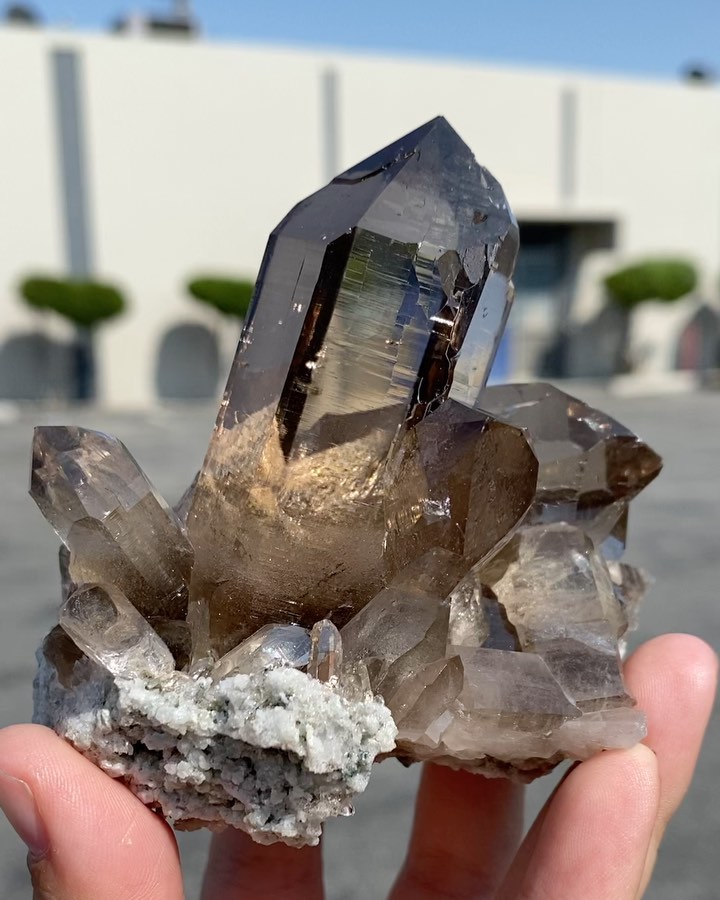GeologyTime's tweet photo. A Swiss alpine Smokey quartz. Simply one of the best locality’s for pure clear Smokey quartz.

Photo: fasanarock

#minerals https://t.co/rdiiyHKX0K