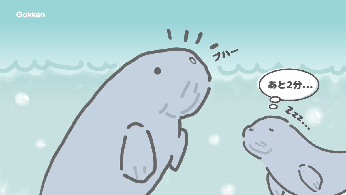 人魚のモデルにもなったといわれる ジュゴン は眠るときも水中で過ごします ただ残念なことに 魚と違ってずっと水中にいると溺れてしまいます なんと寝ている間も10分ごとに目を覚まして息継ぎをしなければならないんだとか もう君たち地上で寝た方が良いのでは