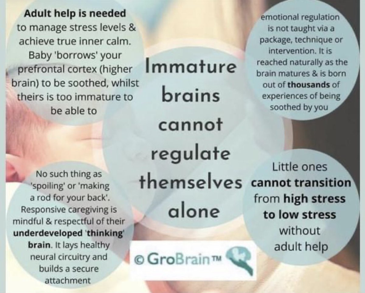 So important for parents and educators to understand as self regulation is about coregulation!!
