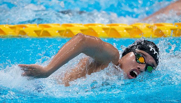 Fairfield Stags tweet media