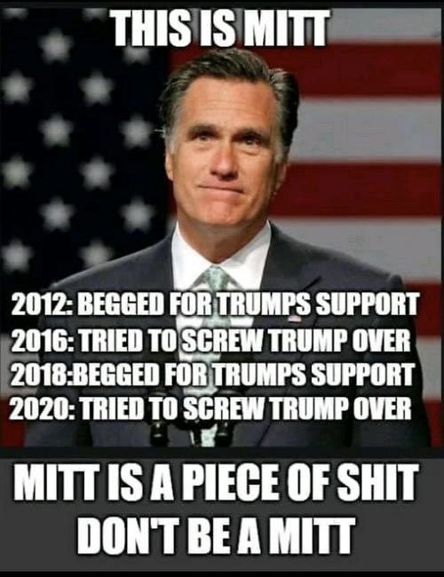 judytgolf's tweet photo. 🍃🌺🍃  •• don’t be a Mitt ••   🍃🌺🍃

@taxesuck @StarrRinko @DJTisRight 
@ShimonPiamenta @JuJuSkier @EdwardCarlsen3 @MadMAGAMikey 
@DebugOurSystem @CommiesUp 
@TNT39633085 @CarolinaRyne 
@US_Patriot1990 @MixedTexan 
@Ted16678462 @hannahudomlee 
@ApoplecticAmer1 @judytgolf https://t.co/cudbIV4UsE