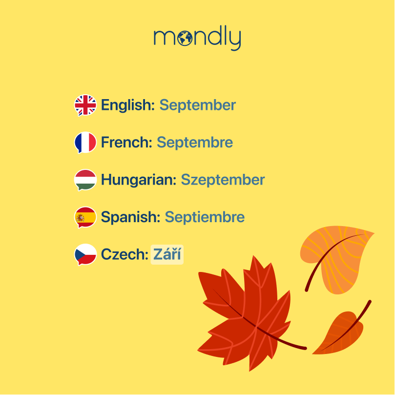 MondlyLanguages's tweet image. Czech definitely did not agree to any of this. 😆 Start learning Czech today with short, easy lessons! 💁
#czech #languagelesson