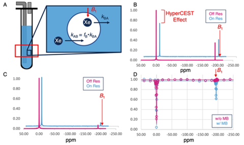 DPMP_UNC's tweet photo. Congrats to @phildurham and @DaytonLab for new pub in @ChemPhysChem “Magnetic Resonance Detection of Gas Microbubbles via HyperCEST: A Path Toward Dual Modality Contrast Agent”
@UNCPharmacy @UNCNCSUBME @UNCPhysics https://t.co/ZgcTPxOaqp