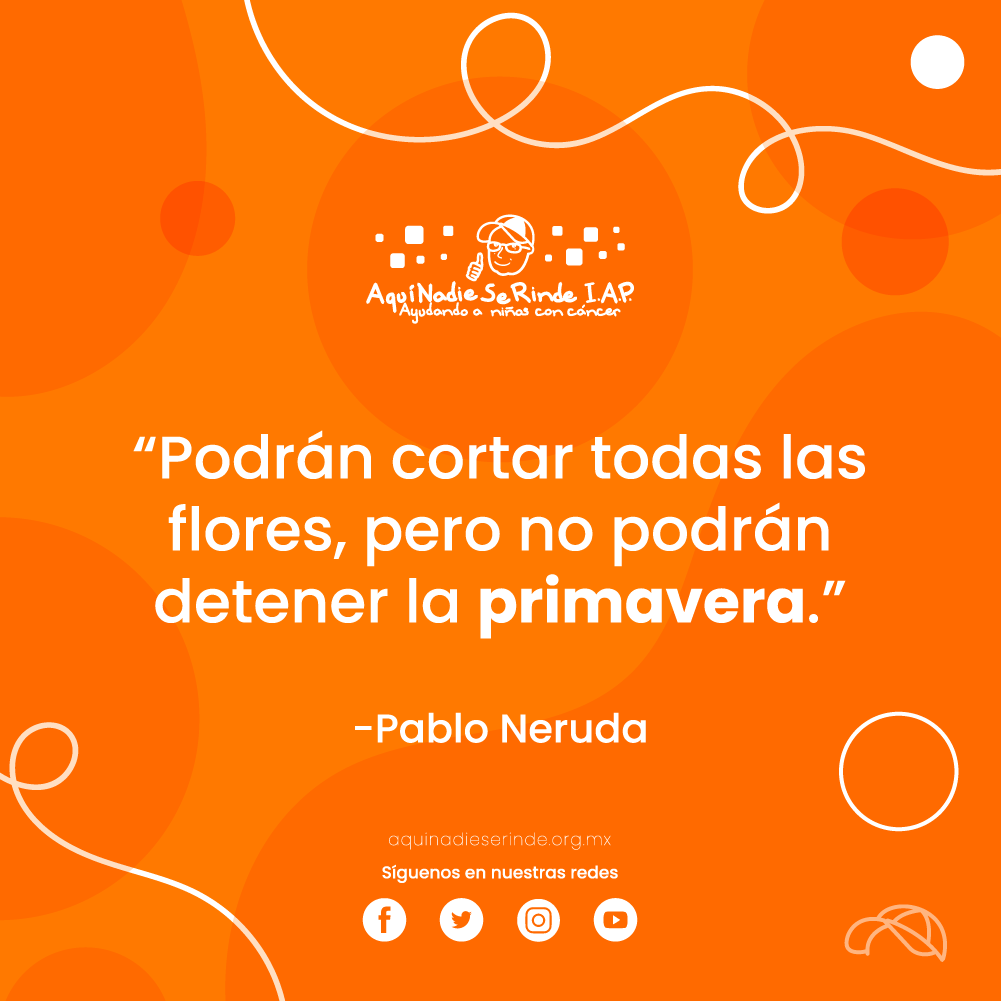 ANSeRiap's tweet photo. #FraseDeLaSemana No importa lo que ocurra en el exterior o lo que nos quiten en el camino, es importante enfrentarnos a ello, sobreponernos y con mucha #ActitudNoMeRindo mejorar y esperar una nueva primavera. https://t.co/fkrVJQLGM9