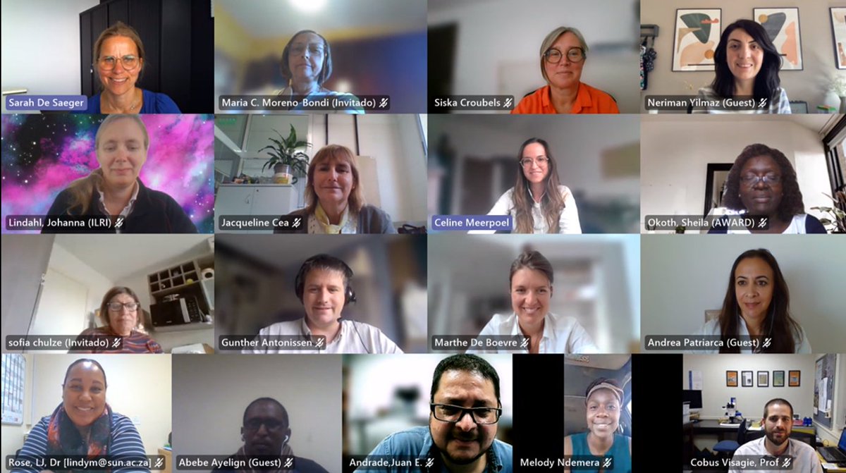 Today we had a very fruitful General Assembly meeting. We reflected on the achievements of the past 5 years, and designed the future priorities of Mytox-South. Amazing things will be accomplished by co-creation around the world. Stay tuned!