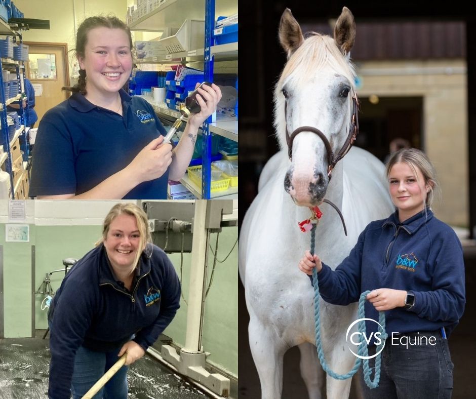CVSGroupPlc's tweet photo. Congratulations to Daisy Pagett, Vicki Nuthall and Zoe Harris, who have just passed their final exams to become Registered Veterinary Nurses at the B&W Equine Hospital in Breadstone, Gloucestershire.
#CVSNursing #BeTheNurseYouWantToBe #veterinary #GreatPlaceToWork #PeoplePost https://t.co/HcV22cLkhm
