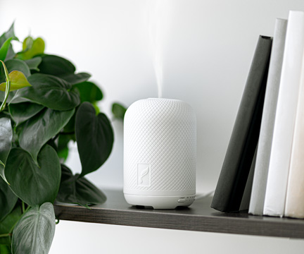 Going back to work? Add a diffuser to your workspace to help boost your energy and overall productivity. Diffusing oils and blends such as Vetiver and Brain Power can help you create an environment that provides clarity to the mind, increases focus, and boosts energy! #yleo