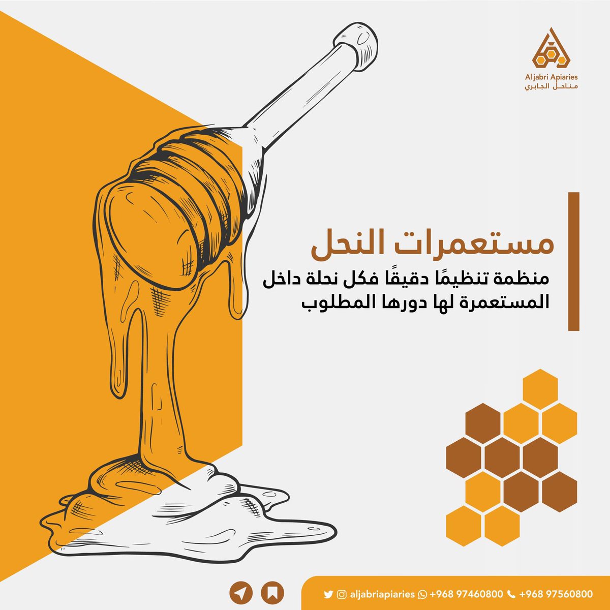 aljabriapiaries's tweet photo. العملية ما سهلة و التنظيم في العمل يدعو للتفكر ( سُبحان الله )
.
.
#عسل #honey #عسل_زهور #عسل_سمر #عسل_سدر #مناحل #نحل #شفاء_للناس #مناحل_الجابري https://t.co/RmW5ARmRIo