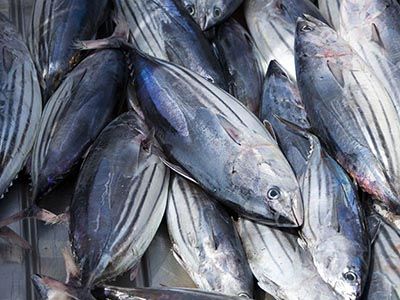 AtunaNews's tweet photo. Global tuna catches fell in 2020 which was mostly influenced by a decline in tonnage taken out of the WCPO. In that ocean, disruption in fishing due to the COVID-19 pandemic was felt the most. All species declined but the largest fall...https://t.co/Bjo12IMsEu
#WCPO #tunacatch https://t.co/5pqhOj2qyQ
