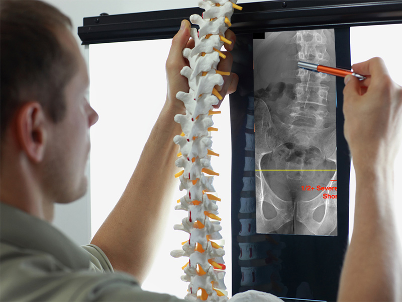 performancechirowellness@gmail.com tweet media