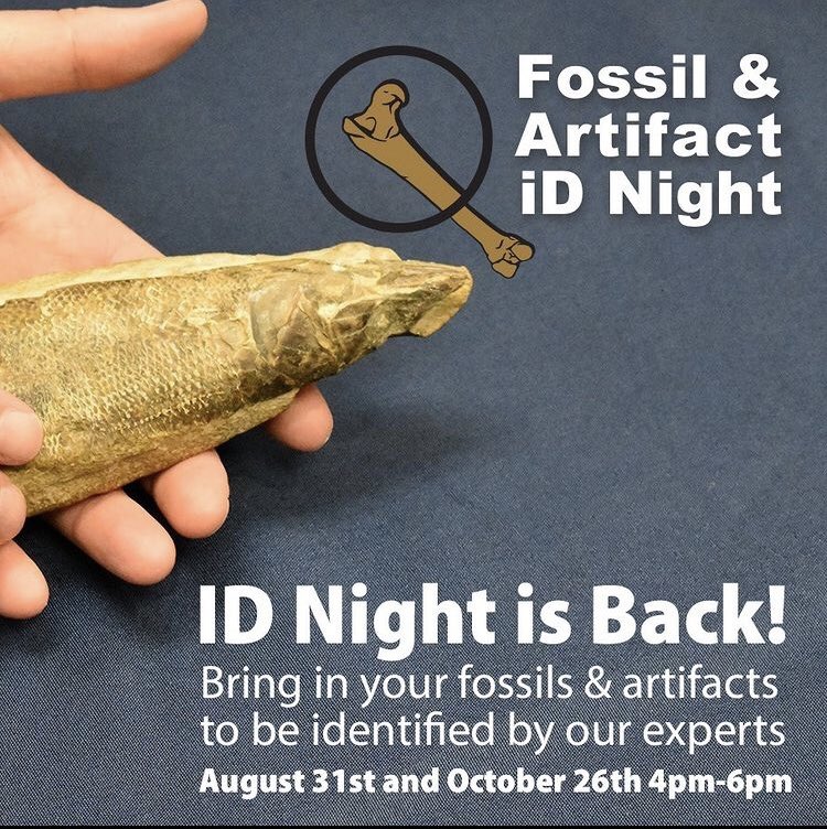 visithandson's tweet photo. Fossil and Artifact ID Night is back tonight! Bring all of your rocks, artifacts, and fossils to be looked at by the experts from 4-6pm πͺ¨ this is a free event #hodc #visithandson #grayfossilsite #fossil #artifact #appalachianhighlands @GrayFossilSite https://t.co/hYcz7v25gH