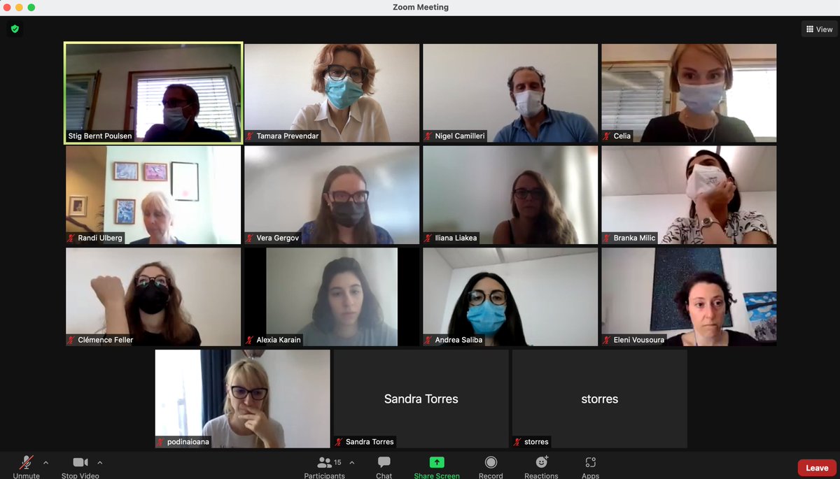 TreatMeEU's tweet photo. Working Group 1 has met in a hybrid meeting in beautiful Porto and via Zoom for two days before #TREATme as #COST Action 16102 ends https://t.co/uLVYFYGqac