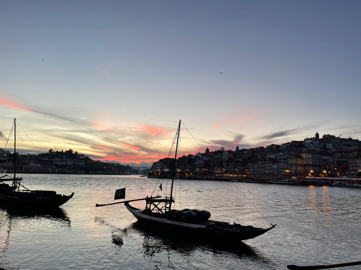 TreatMeEU's tweet photo. Working Group 1 has met in a hybrid meeting in beautiful Porto and via Zoom for two days before #TREATme as #COST Action 16102 ends https://t.co/uLVYFYGqac
