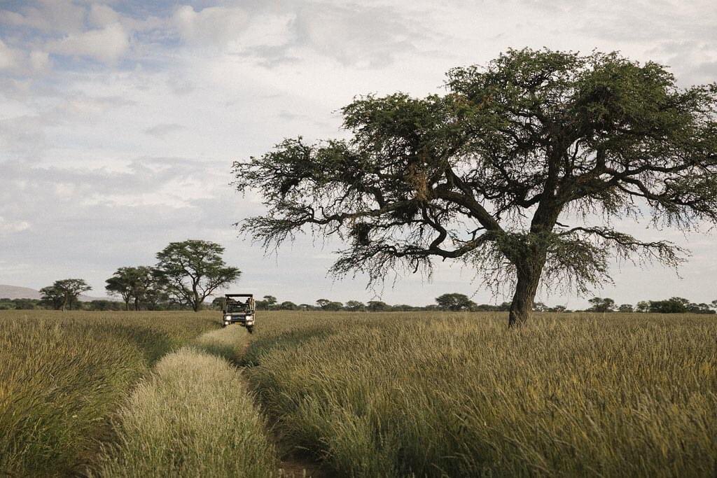 ermtours's tweet photo. #traveltuesday Habitas Namibia made Travel + Leisures' 2021 Best New Hotels List.This remote tented camp overlooks the expansive plains of a private reserve.Guests enjoy an interactive and engaging safari experience, making for an unforgettable stay.. your adventure awaits! https://t.co/JP1yhLcY3I