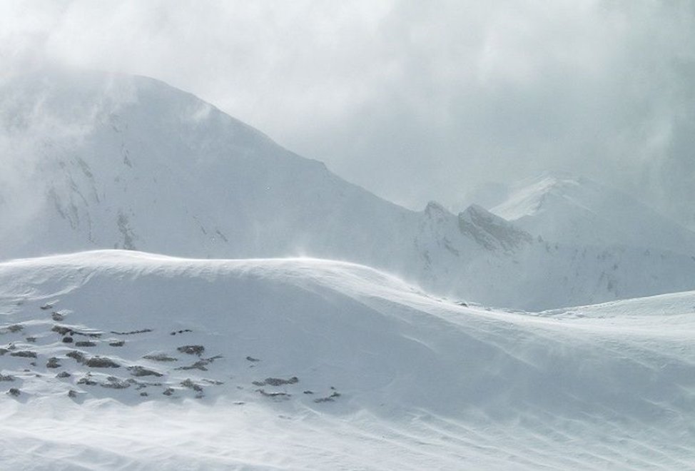 Interested to work with us? We have a 2-year PostDoc position in modeling atmosphere-snow cover feedbacks over alpine terrain. The position is part of a larger climate change impacts project investigating cascading processes and uncertainties. apply.refline.ch/273855/1208/pu…