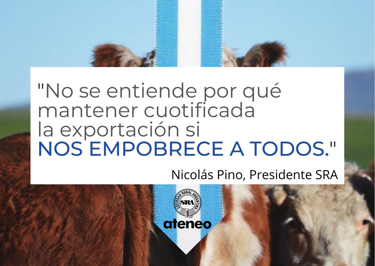 "Perdimos los productores, los trabajadores, los empresarios frigoríficos, los consignatarios, los proveedores de insumos y servicios, entre otros eslabones de la cadena", sostuvo el Presidente de la SRA, Nicolás Pino.