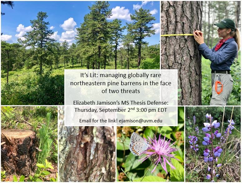 Elizabeth Jamison tweet media