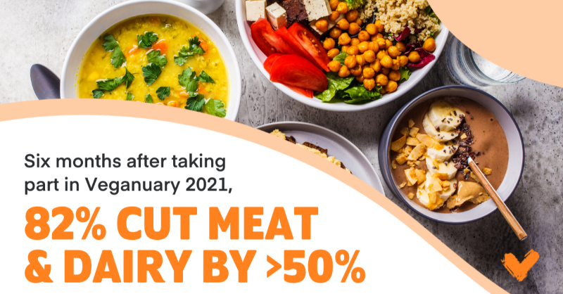 veganuary's tweet photo. GREAT NEWS! We're thrilled to report that six months after completing their one-month #Veganuary challenge, 82% of those participants who were not vegan when they signed-up, are eating >50% less meat &amp; animal products! 🌱🤩 Give yourselves a big pat on the back everyone! 🔙🤚 https://t.co/CWGhJrnpvd