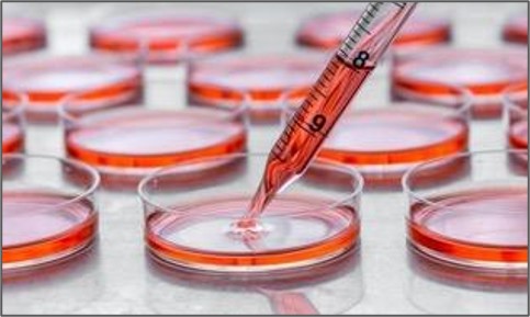 Standard_BioT's tweet photo. Consider three laboratory use cases incorporating a sample identity and quality assessment as a component of the biorepository workflow: https://t.co/hPyOuUHSBk
#biobanks #biorepository #genotyping #sampleID #SNP #microfluidics https://t.co/RLfJEeLSQV