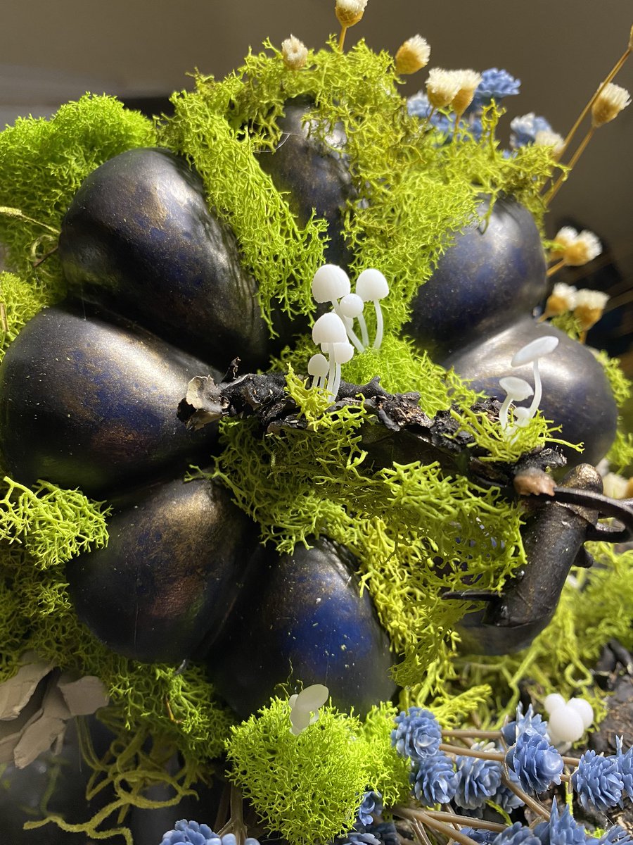 I found tiny mushrooms (๑˃̵ᴗ˂̵)

#art #artist #pumpkins #craft