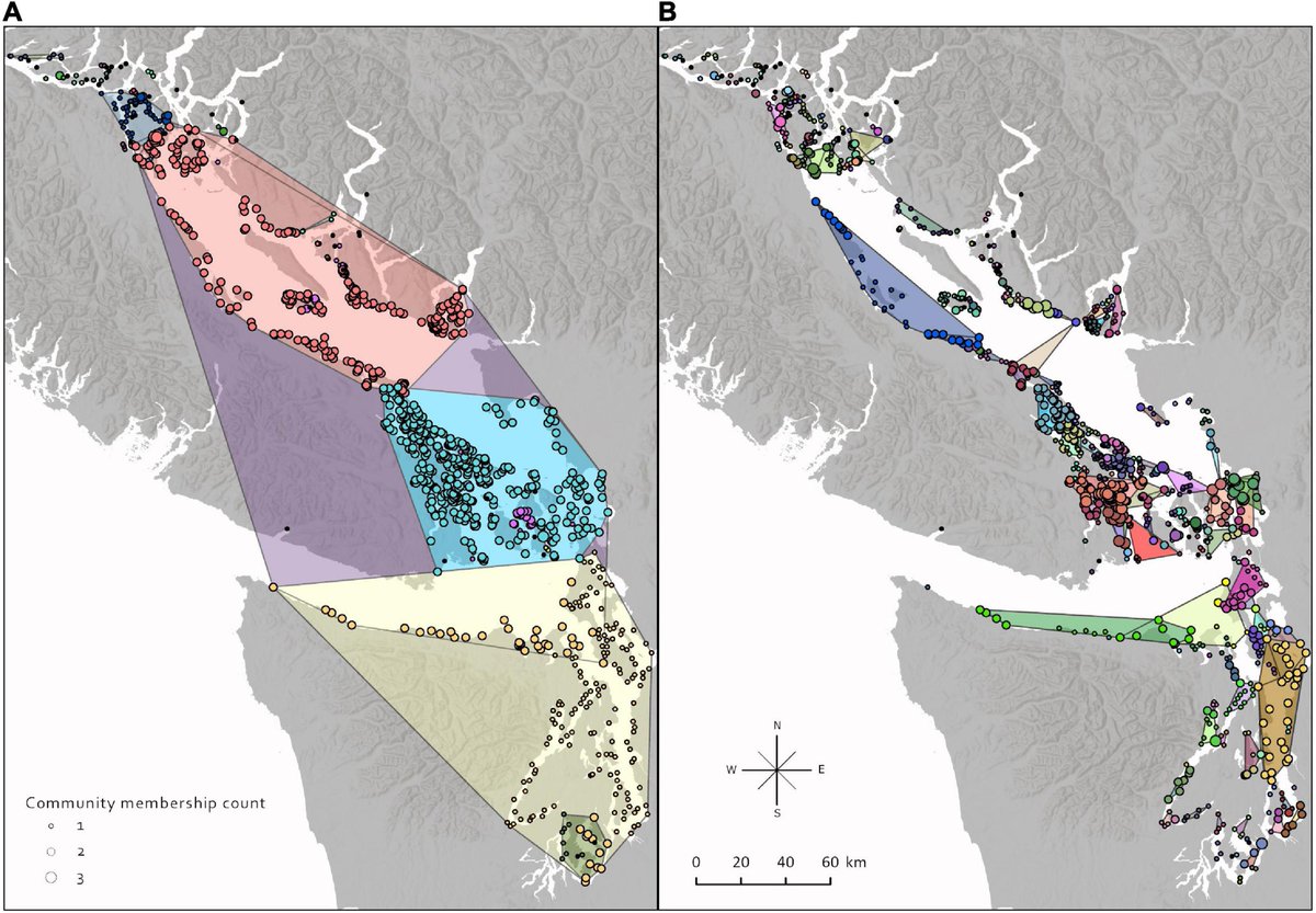 OConnorLab tweet media