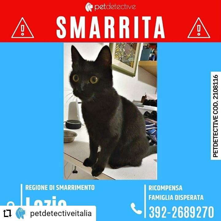 CD da Instagram <a href="/PetDetective_IT/">Pet Detective Italia</a> 🆘
SMARRITA MARGHERITA a VITINIA (RM)
presso Via Longiano 15
Razza: Europea
Sesso: Femmina
Manto: Pelo nero
Comportamento: SPAVENTATA non si lascia avvicinare
RICOMPENSA FAMIGLIA DISPERATA
Francesca 392-2689270 🔗instagram.com/p/CTPkKqatwVP/…