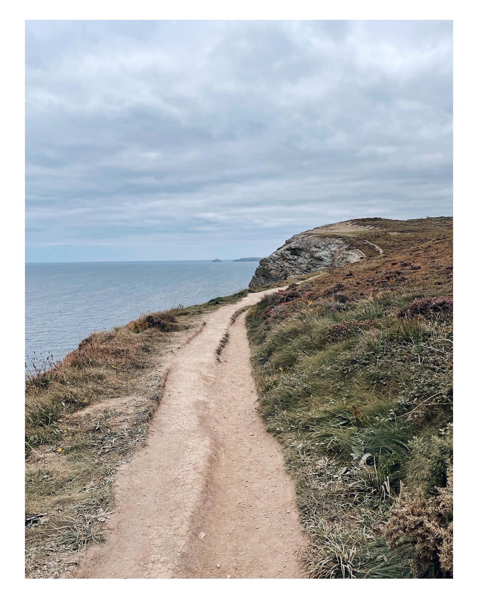 Meanwhile in St Agnes… #birds