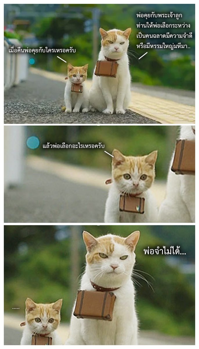 ถ้าบ้านน้องไม่มีเน็ตฟลิ๊ก อย่ามาส่งซิกให้พรี่...