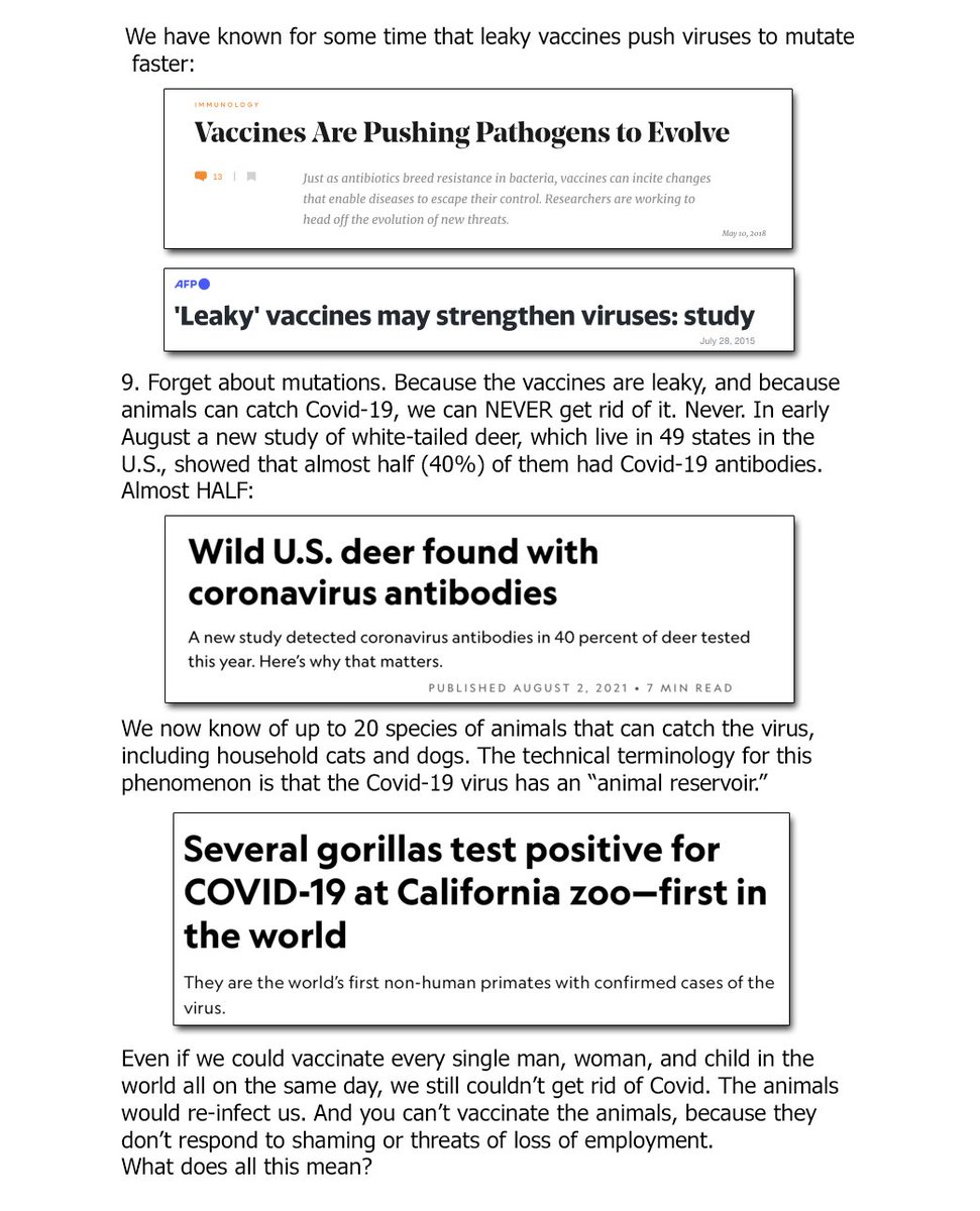 What the Church Needs to Know about Covid-19 oal.lu/wezbq
