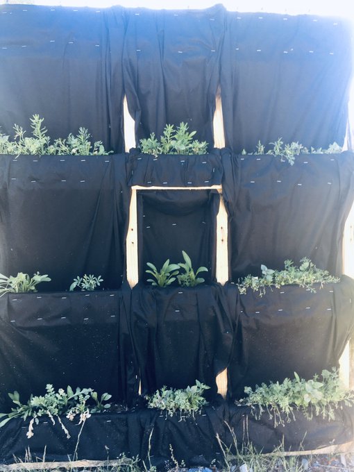 ms_tclassroom's tweet photo. Such a great initiative! Last year Bridgeview Elem began a pallet garden project. With the help of HCTF we were able to purchase soil, seeds, tarps, a wagon and more. We can’t wait to get back at it in September. https://t.co/Ivi2lk2zVl